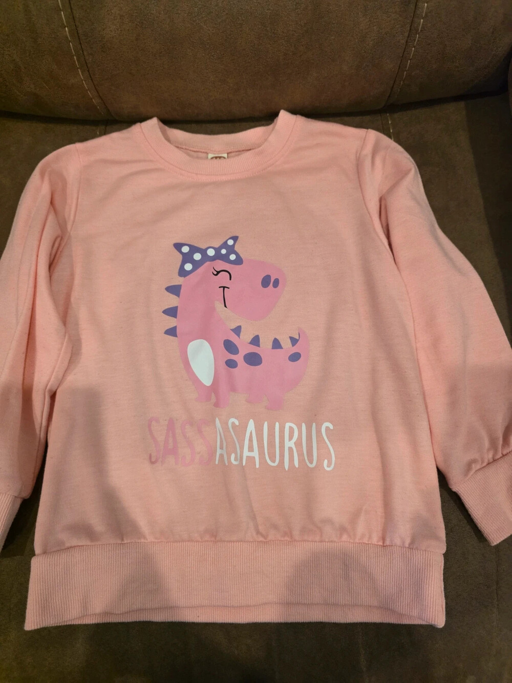 Dinosaur Sweater